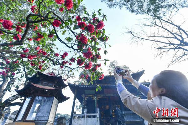 星空体育官网-习近平会见越南国会主席王庭惠