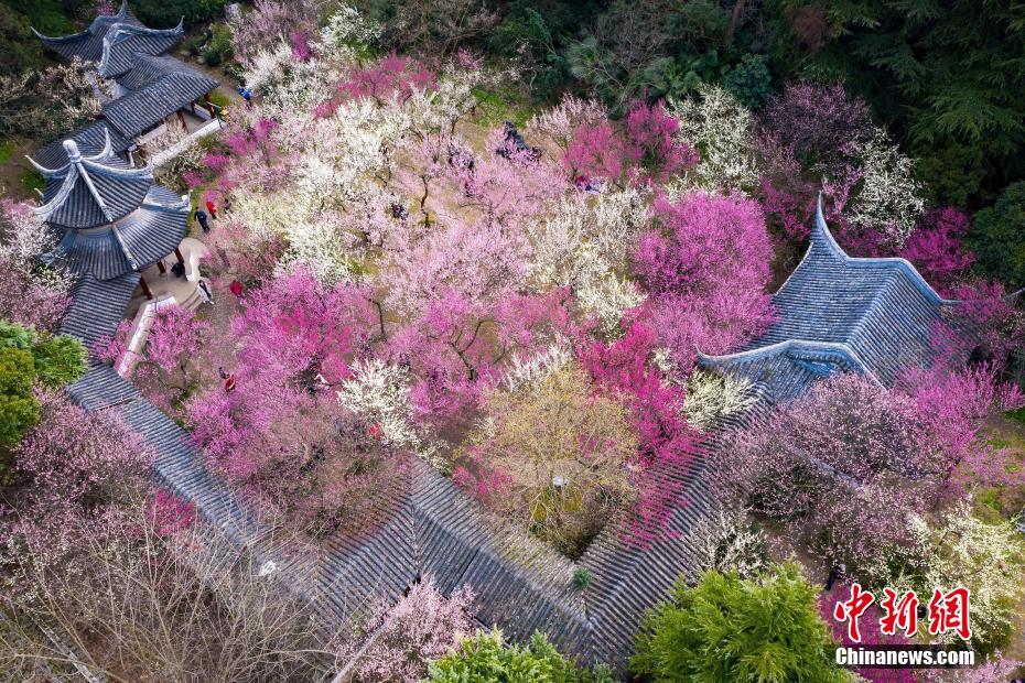 半岛在线体育官网