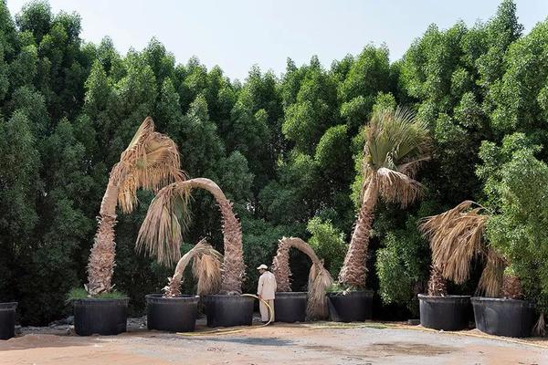 半岛在线登录入口-半岛在线登录入口