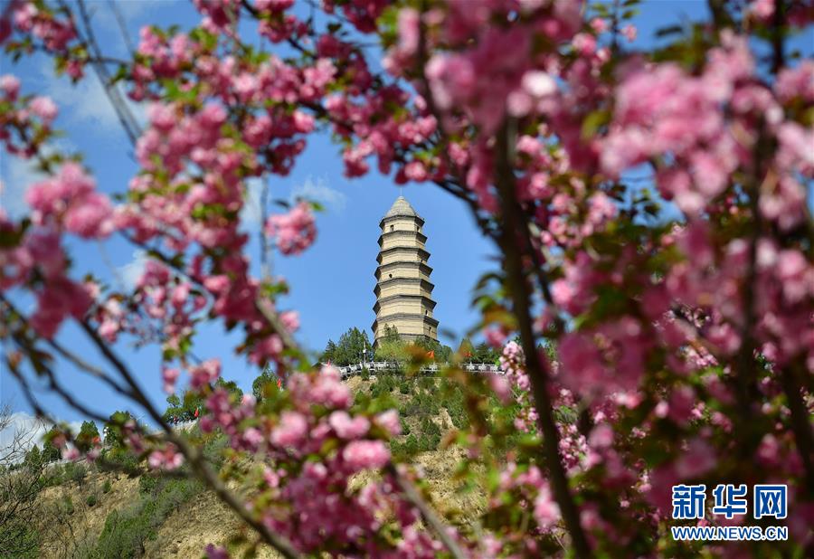 开云官方在线入口-中国高端电视市场华为销量第一