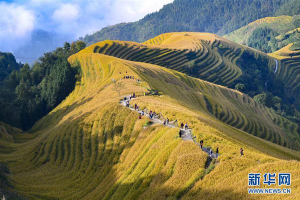 od平台在线登录-od平台在线登录