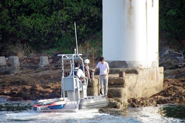 kok电竞首页-海南野猴进村伤人 还试图抓走婴儿