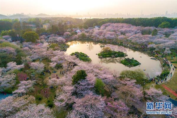 开云体验app官方入口-一年揽客2000万！这个街区用智慧大脑分析游客喜好