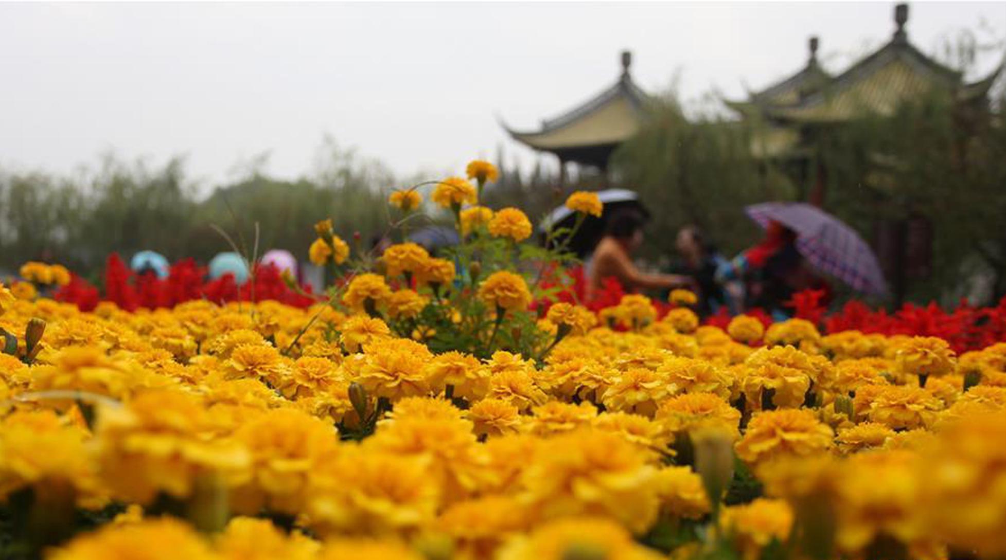 开云app苹果下载相关推荐1