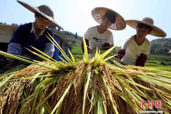 kok电竞首页-高考应试技巧