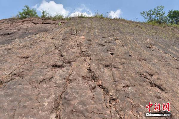 江南官方入口-“王婆说媒”保安下跪向游客道歉