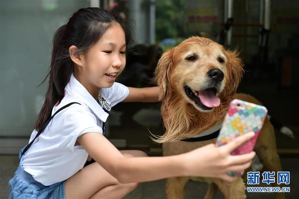 乐竞体育链接入口-高中vs大学