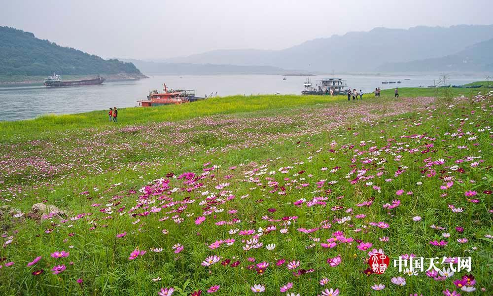 足博体育官网首页-去哪儿五一出游全解答：机票何时买便宜，价格还会跳水吗？