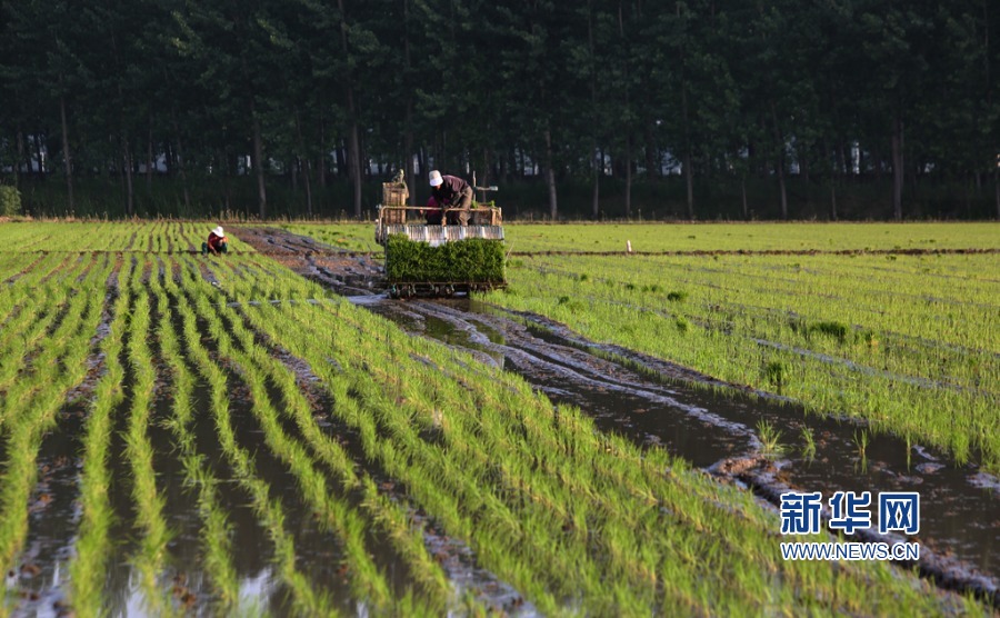 kok电竞首页-河南一高校招生科副科长被举报聚众淫乱，校方
：纪委已介入核查