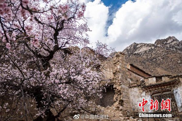 半岛在线体育官网-你会选择一个家境差月光族的漂亮女孩做老婆吗？