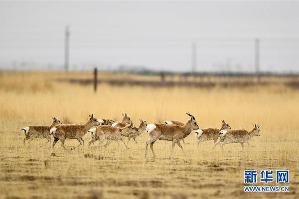 半岛在线官网-半岛在线官网