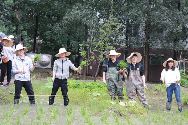 米乐安装官网-重庆一女子在奶茶店脱光上衣