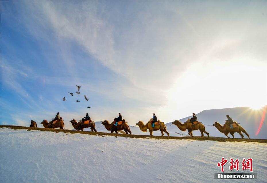 星空体育在线登录官网-奔流｜陈家泠：祝中法友谊如瓷般坚硬、陶般真诚