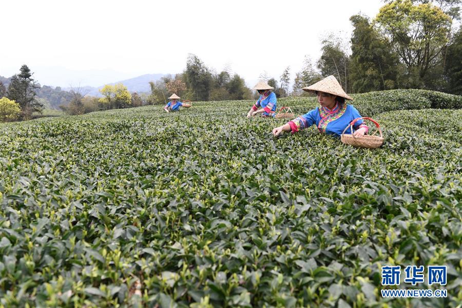 永利平台app下载相关推荐7