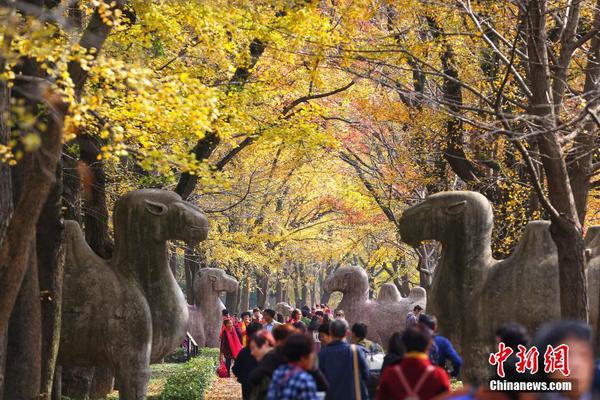 星空app平台官网