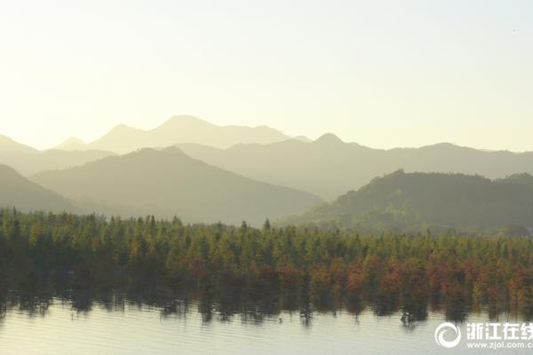 开元大厅下载-i人看到这种工位汗流浃背了