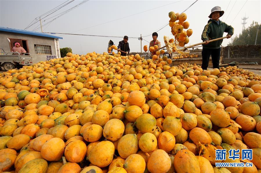 开云app苹果下载相关推荐9