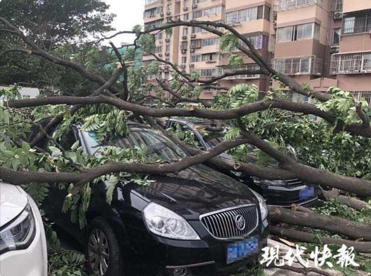 乐竞体育链接入口-又一地削减编外人员：福建永春要求服务窗口编外人员一律清退