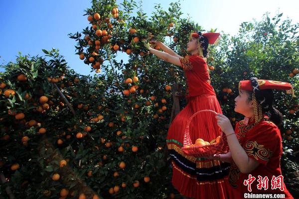 开云在线登录官网-开云在线登录官网