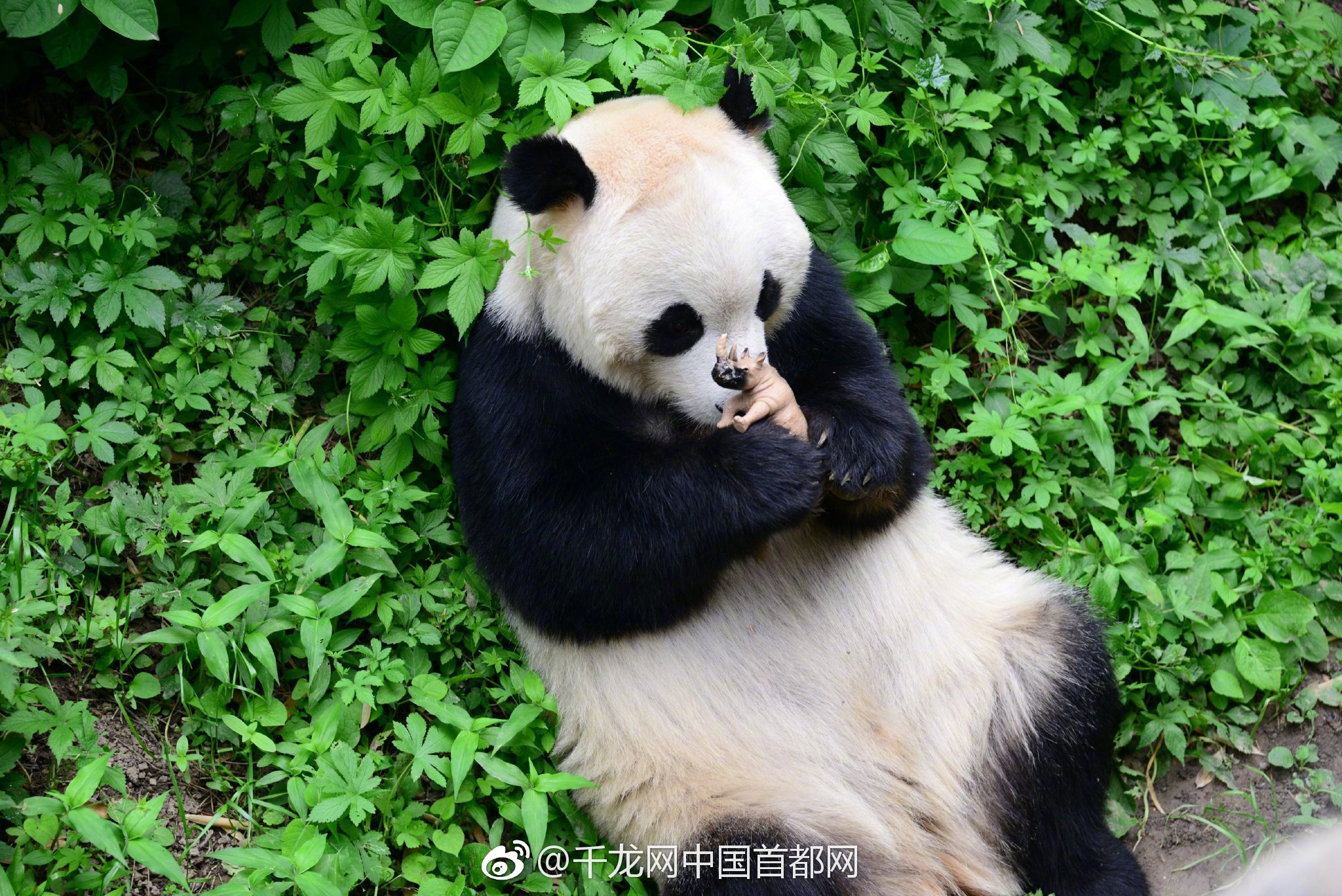 博亚娱乐网相关推荐10