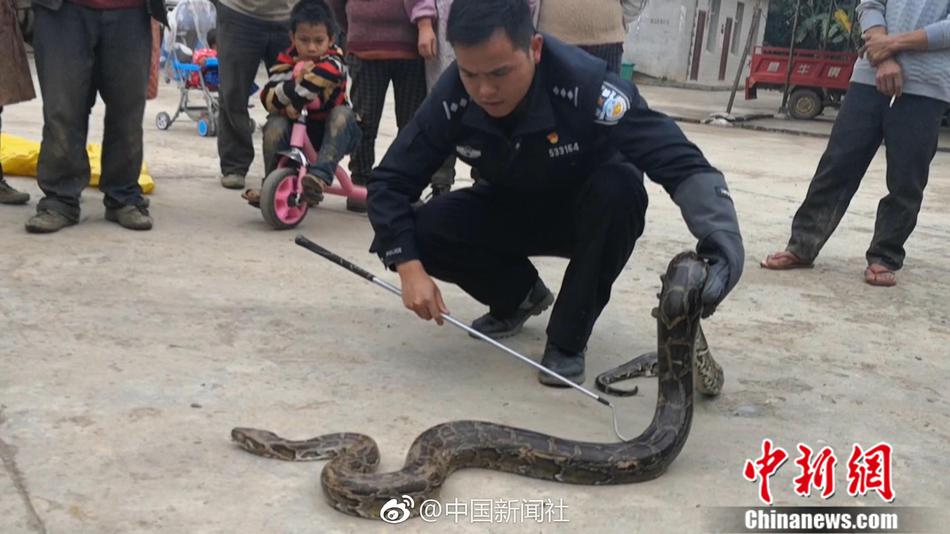 开云苹果下载app-开云苹果下载app