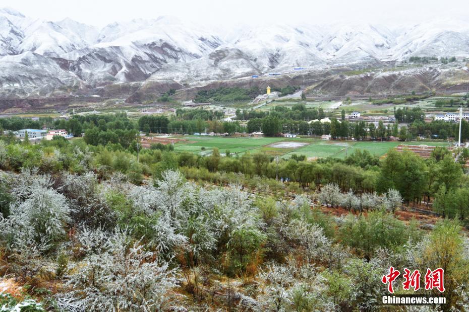 pg电子娱乐十大平台-知名痔疮药停产后涨价10多倍