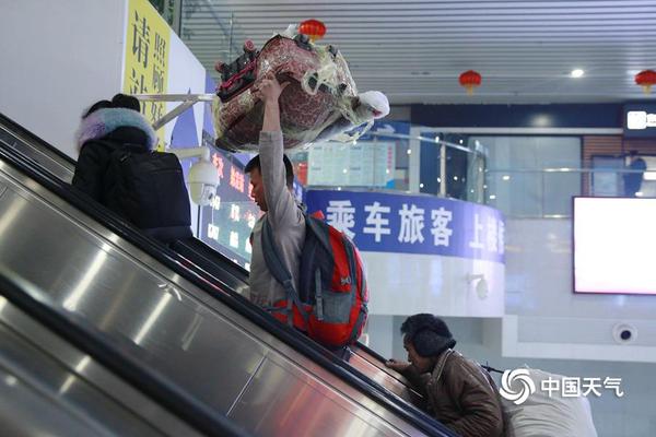 赌钱游戏-“繁花”绽放 闽北早秋鲜菊香溢海外