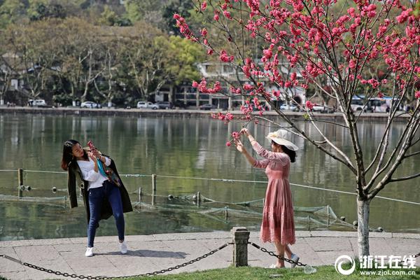 问鼎平台注册登录地址