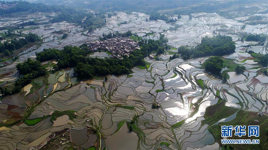 千亿官网登录入口-有苹果要不要申请贫困生