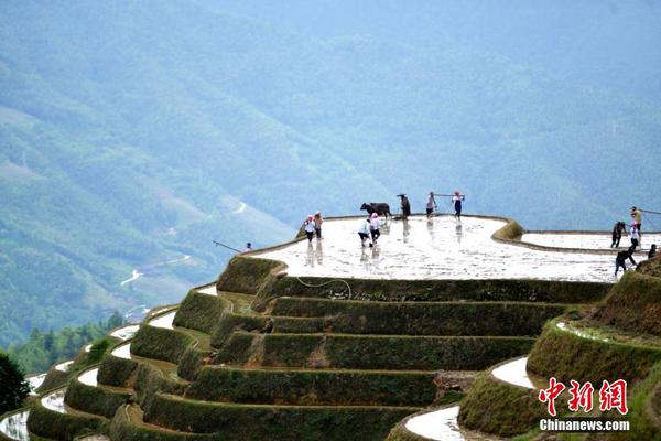 华体育会在线登录