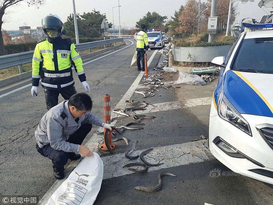 金狮贵宾线路检测相关推荐1