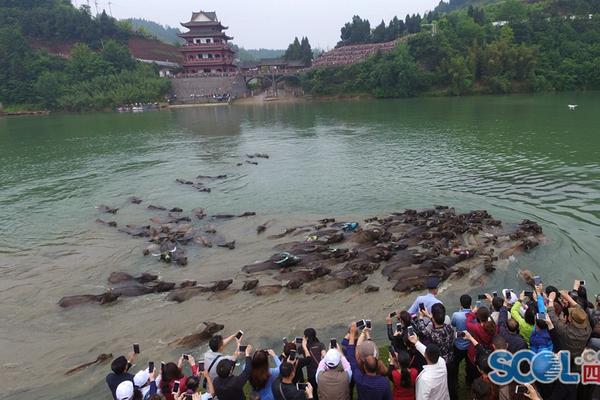 半岛在线体育网-半岛在线体育网