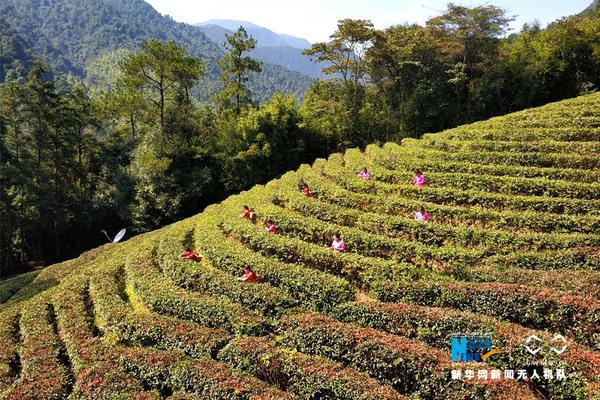 半岛网页版登录入口相关推荐8