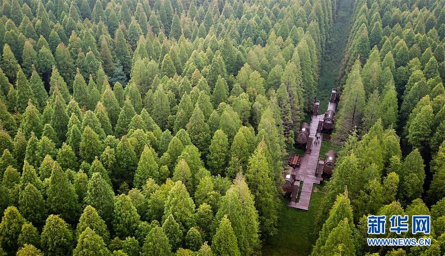 半岛网页版登录入口-上海最年轻区委书记调任 成江苏最年轻地级市市委书记