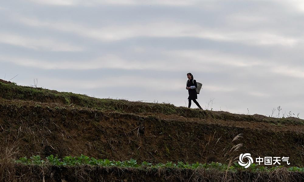 半岛在线登录官网-半岛在线登录官网