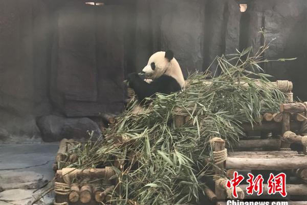 半岛在线登录下载相关推荐10