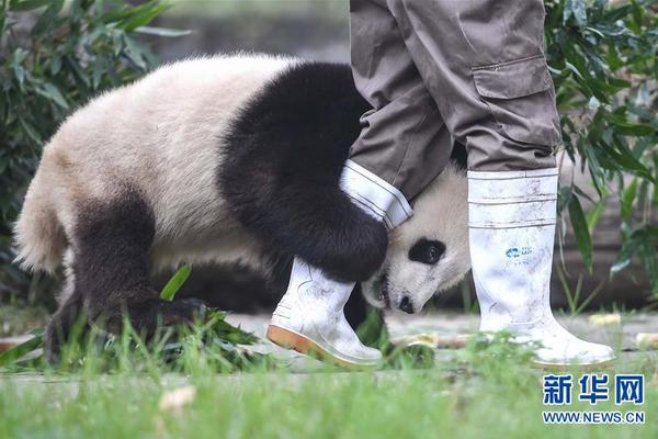 米兰体育app安装-天水麻辣烫到底是什么味