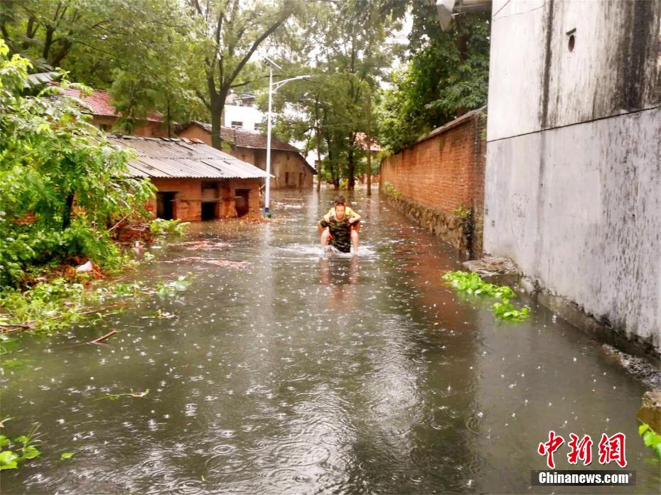 开云电子娱乐-如何科学地逛动物园？