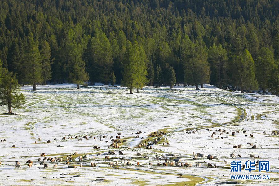 半岛在线登录入口