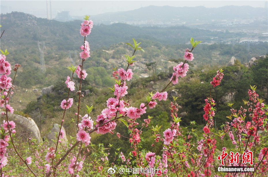 开云app苹果下载-你有没有因为一首歌，而去一座城市旅行？