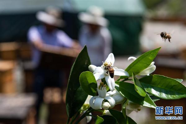 开云苹果下载app相关推荐4