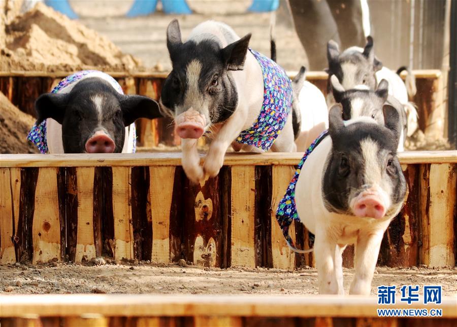 半岛在线登录下载-半岛在线登录下载