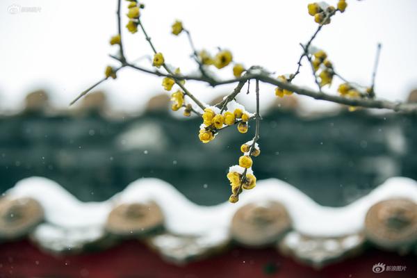 开云苹果版下载安装-开云苹果版下载安装