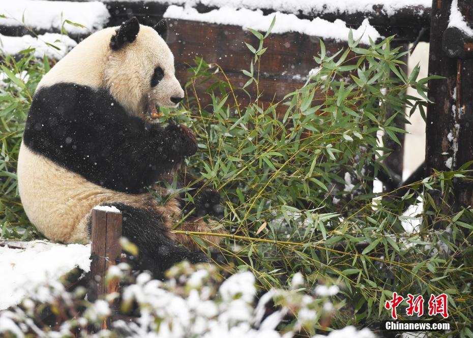 澳门网下载相关推荐8