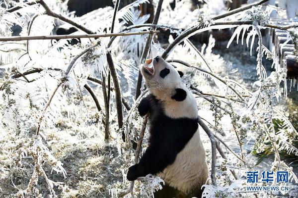 半岛在线登录官网-你为什么喜欢《虹猫蓝兔七侠传》中的虹猫？