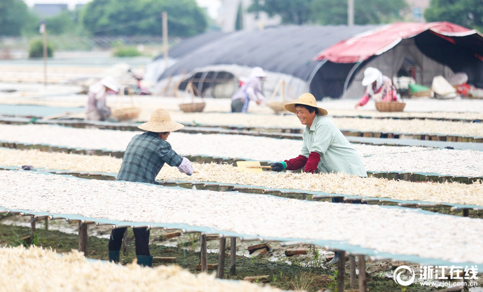 半岛在线登录官网-你为什么喜欢《虹猫蓝兔七侠传》中的虹猫？