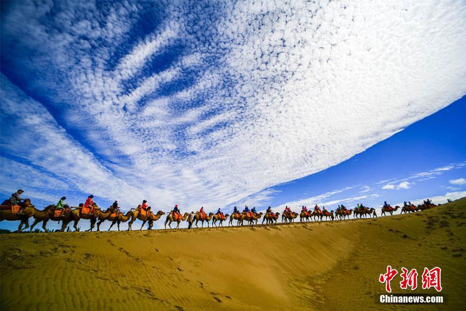 澳门博发娱乐官网-在欧美访了个寂寞中国工程师决定自己搞