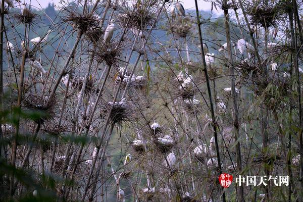 开云app苹果下载-侯宝林老前辈的相声好笑吗
？