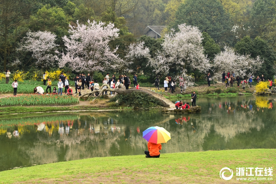 华体育会在线登录-华体育会在线登录