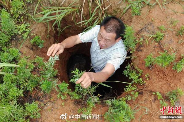 半岛在线体育官网相关推荐6